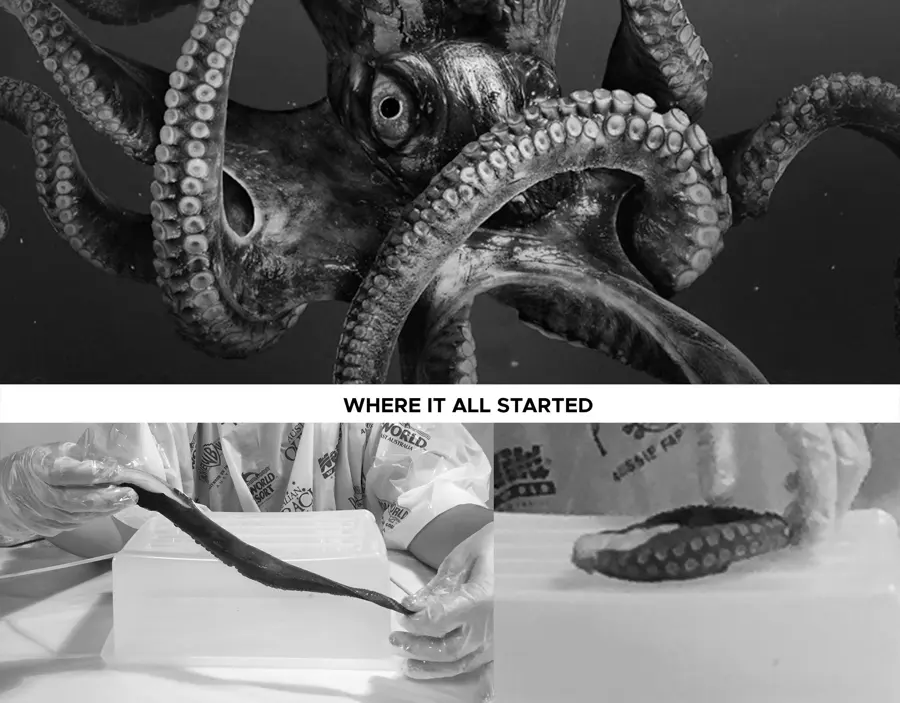 Behind the scenes: the real octopus tentacles photographed for the kraken