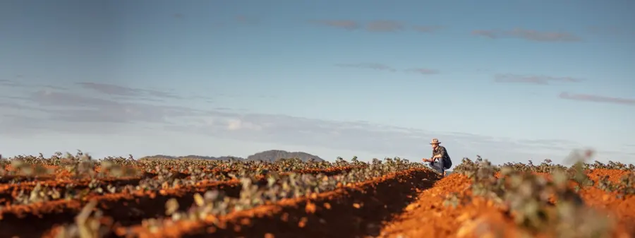 A grower crouching in a red soil field under a wide sky