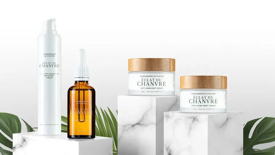 The Pellucid product range on marble blocks with palm leaves