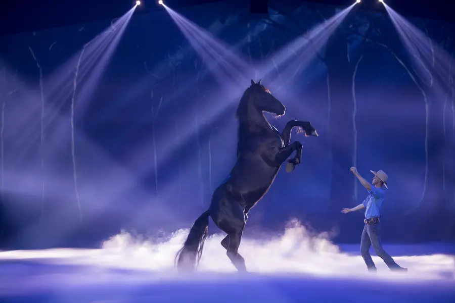 A horse rearing under blue stage light