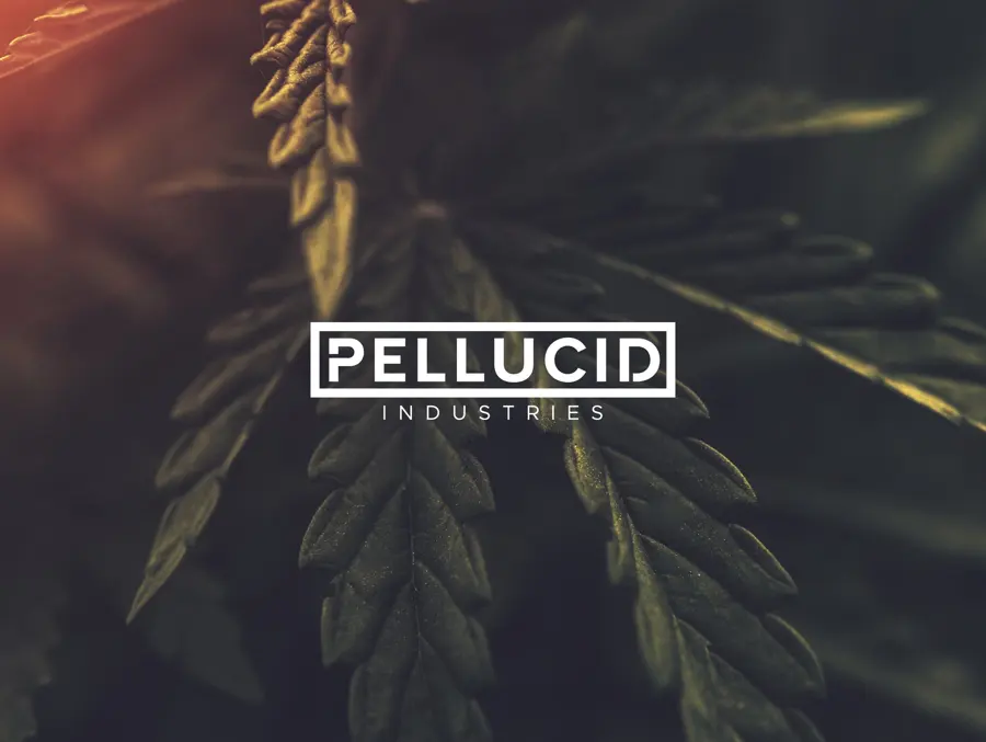 The earlier Pellucid Industries logo, a boxed capital wordmark over a dark leaf photograph